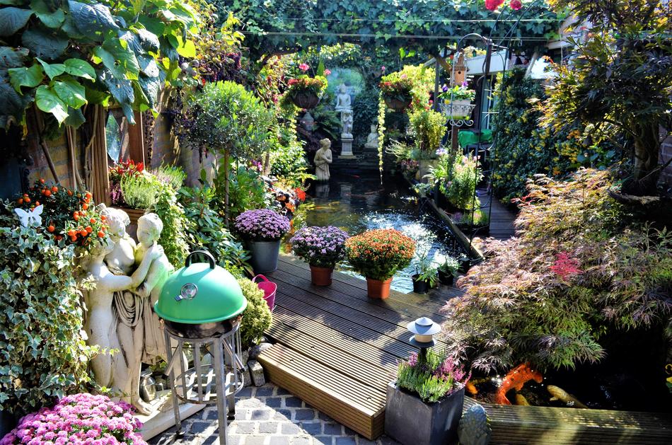 Garden Plant Nature