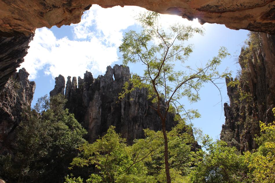 Nature Trip Rock