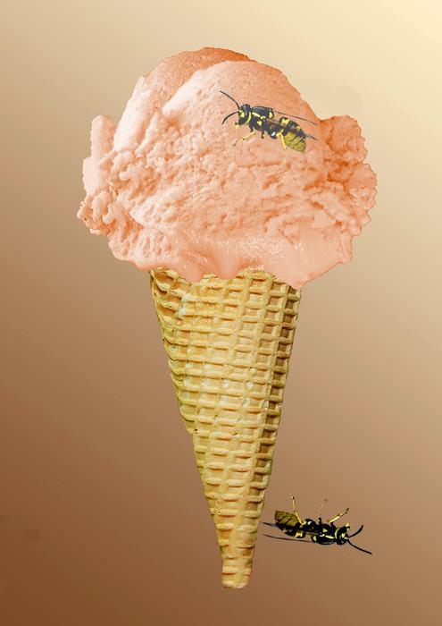 cream ice cream in waffles