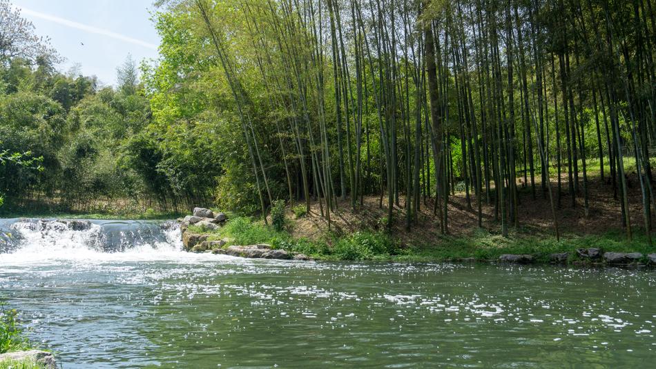 Waters Nature River