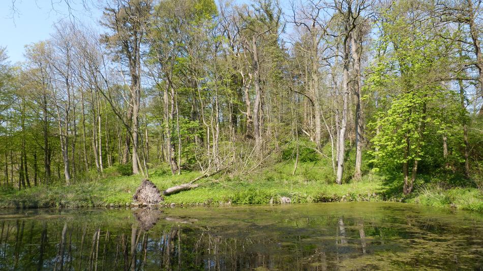 Nature Waters Landscape