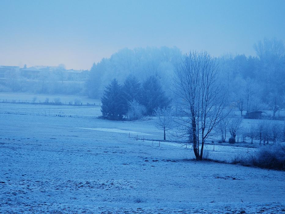 snowy weather field cold