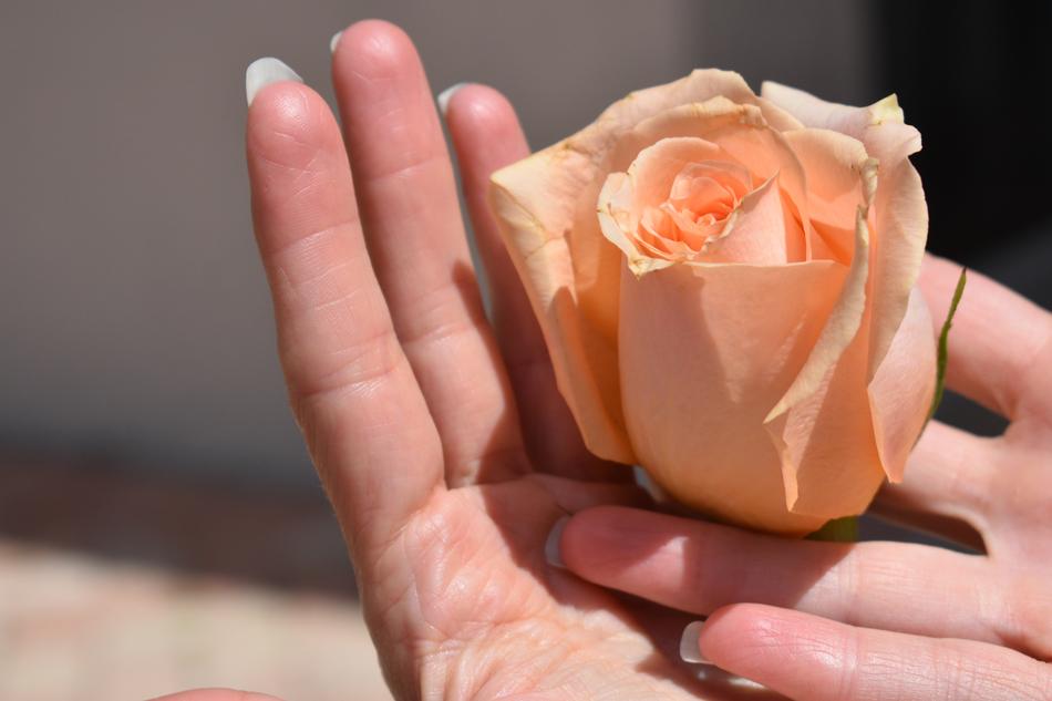 Rose Peach Orange