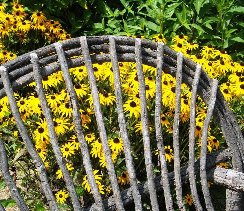 Flora Garden Outdoors