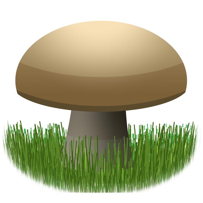 raw mushroom in the grass