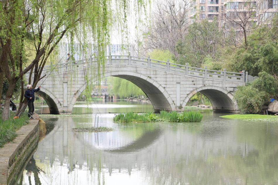 bridge water trees