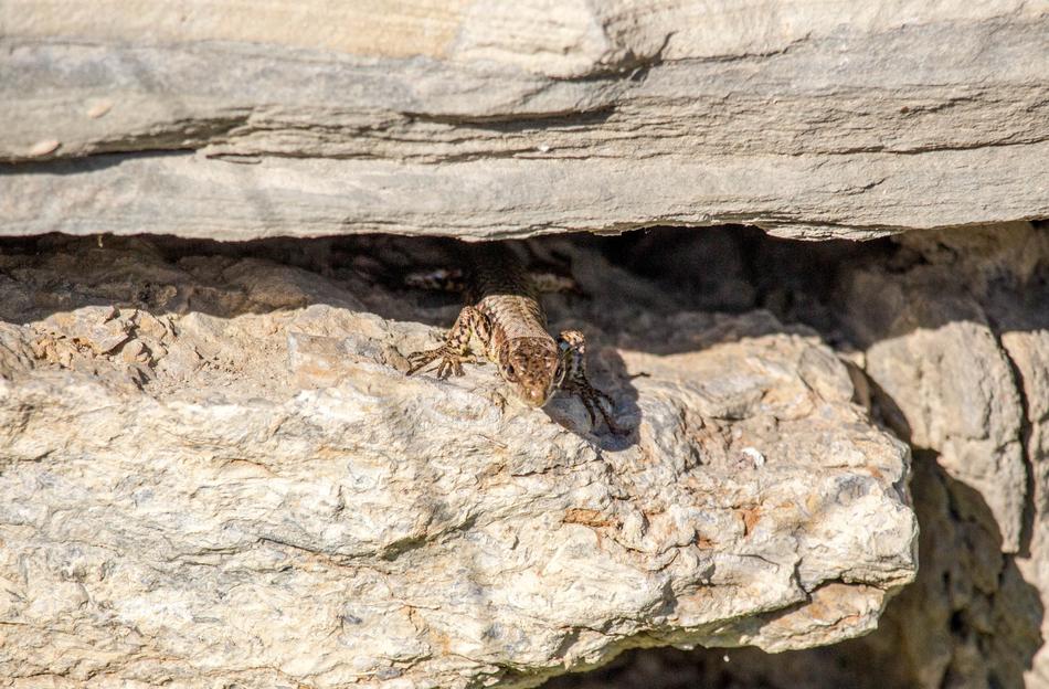 Nature Rock Stone