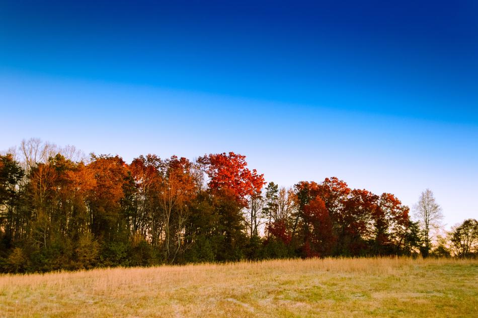 Sky Landscape Autumn