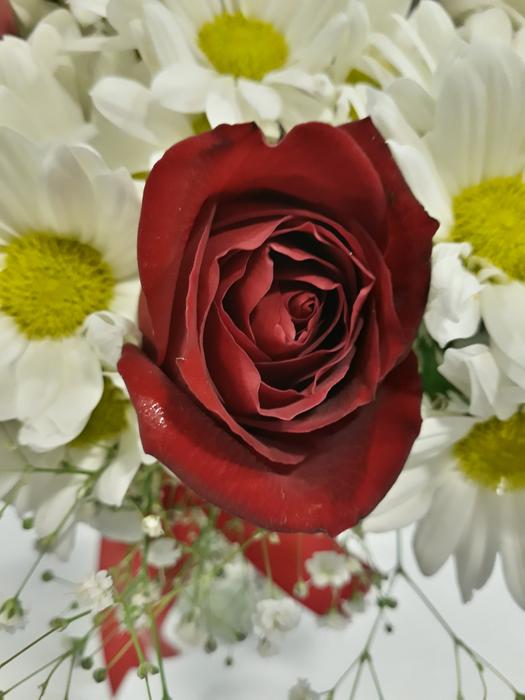 Flower Bouquet