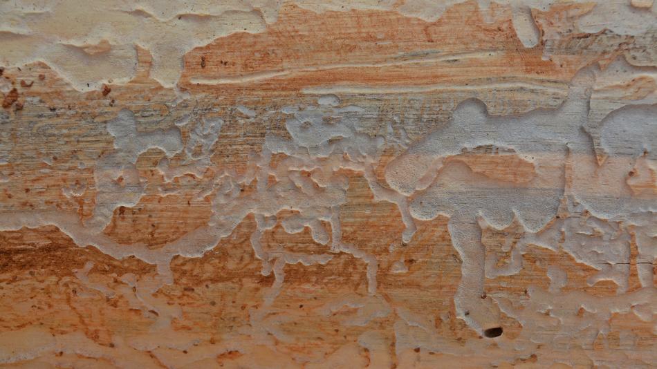 Background Pattern Texture