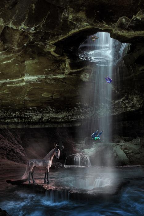 Unicorn Waters Nature