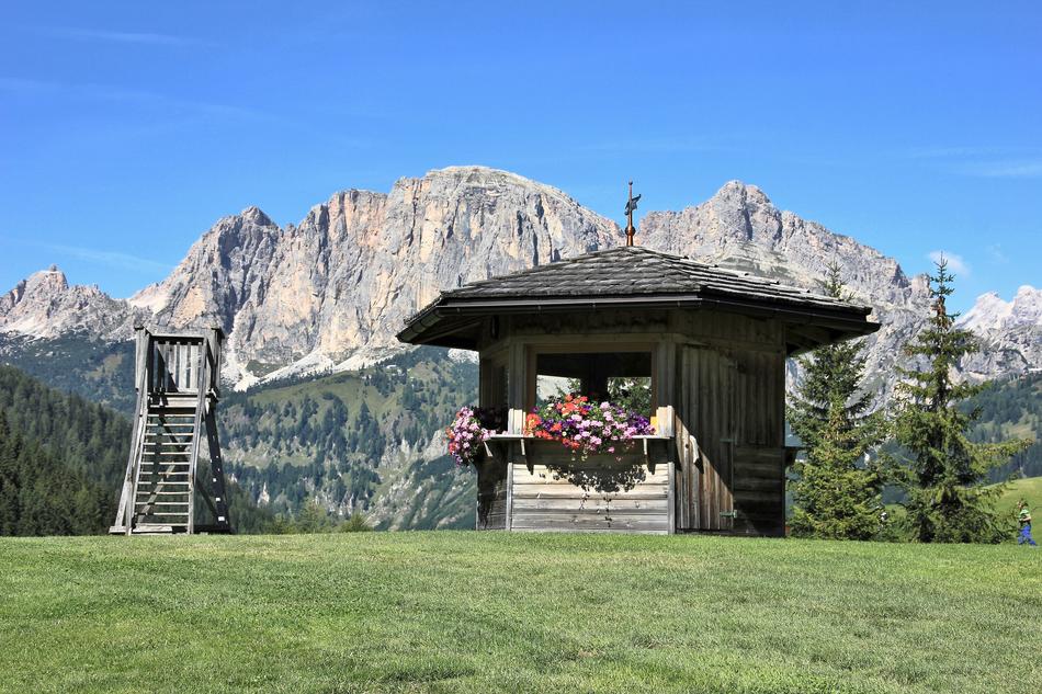 Wood Nature House