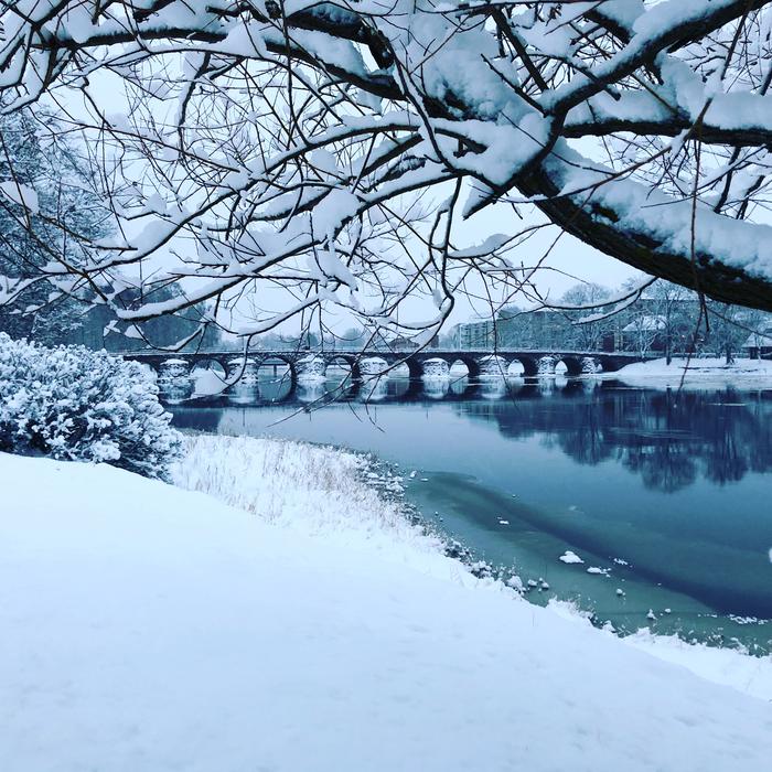 Winter Snow Cold