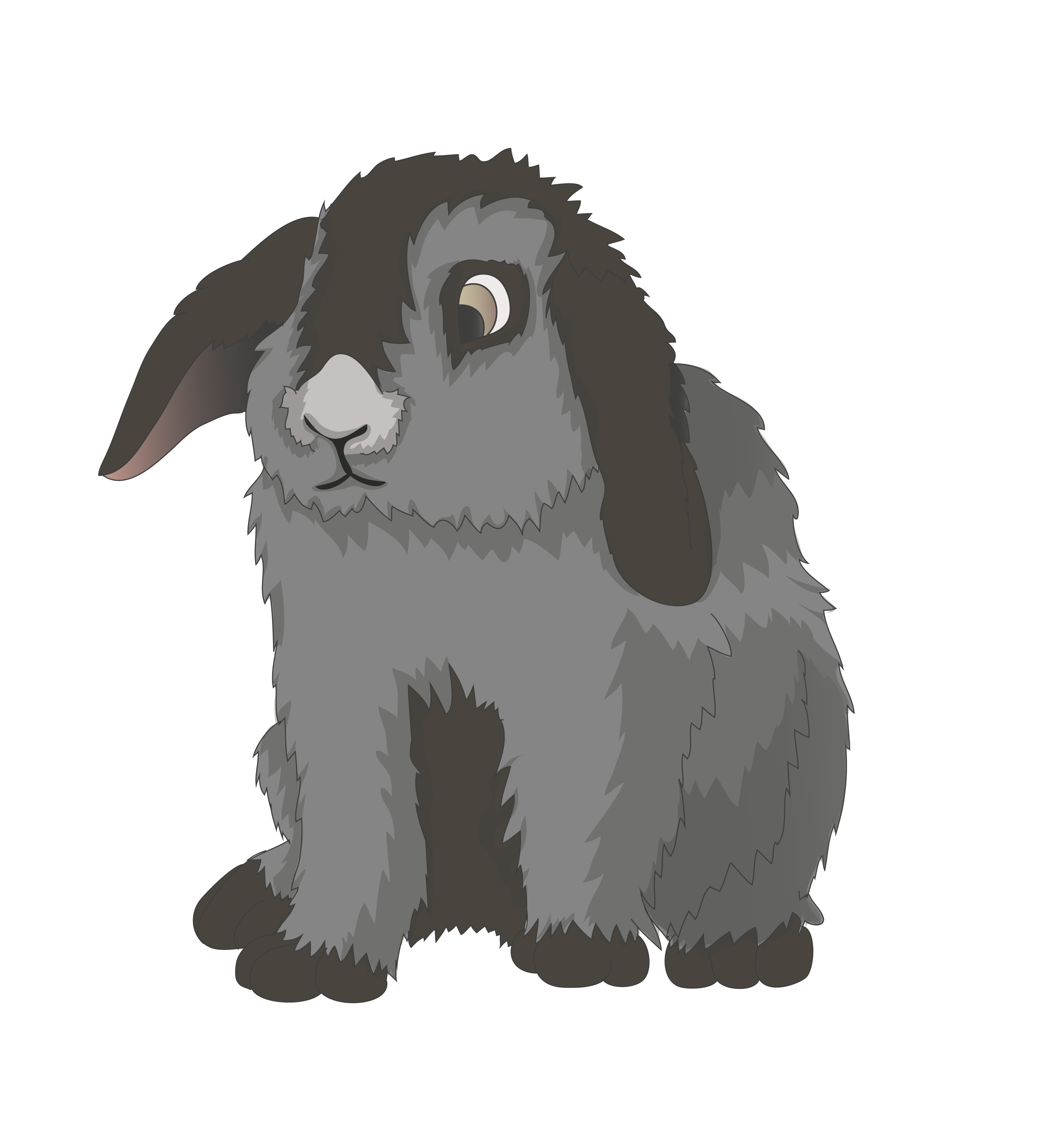 Rabbit hare pet digital art free image download