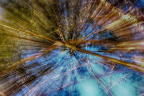Abstract Nature Wood