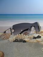 Glasses Beach Mussels