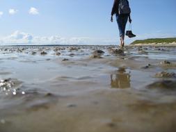Sea Sand Ocean Wadden