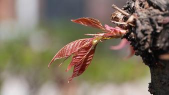 This Type Seoul Nature