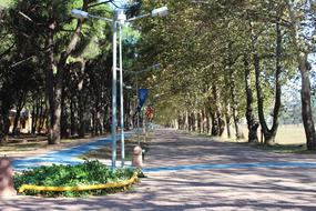 Tree Nature Park Open