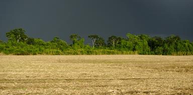 Field Crop Rural Rain