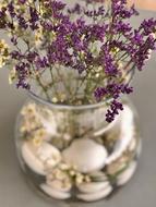 herb vase glass