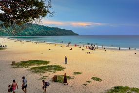 Beach Andaman Tourism
