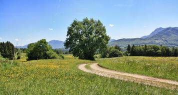 road to the field of green