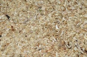 wood sawdust background