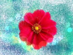 Flower Nature Summer
