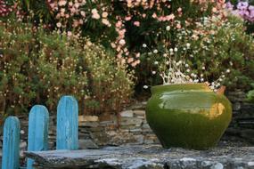 pot of green with flowers
