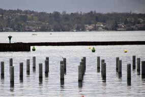 Water Reflection River