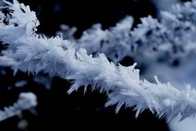 Frost Winter Icing