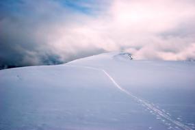 Snow Winter Landscape The Nature