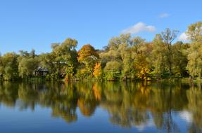 Nature Reflection Water
