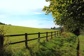 Fence Landscape Nature