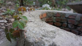 Nature Leaf Stone
