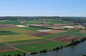 Agriculture Fields Color
