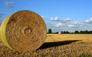 Hay Bales Agriculture