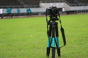 tripod and gren grass