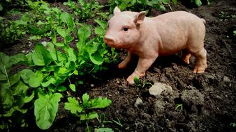 Nature Farm Agriculture