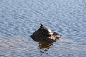 Water Nature Lake