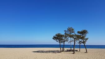 Nature Summer Sand Some People