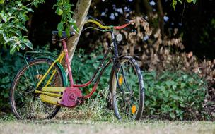 Bike Colorful Garden