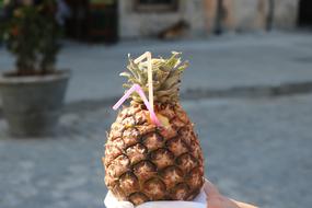 Nature Food Fruit
