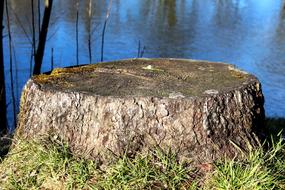 Log Nature Waters