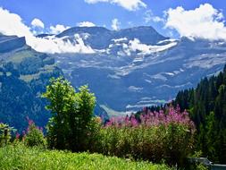 View Mountain Nature