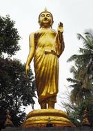 Buddha Statue Standing