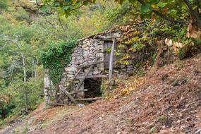 Nature Wood Outdoors