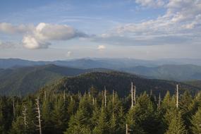 Smoky Mountains Nature Clingmans