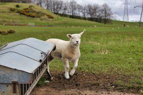 Grass Nature Farm